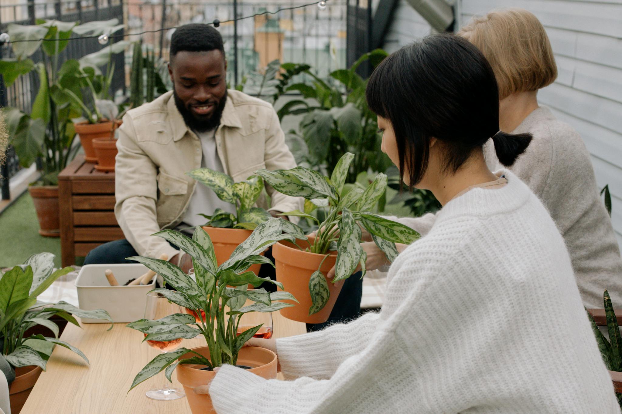 A group of adults engaging in indoor gardening with potted plants, promoting diversity and teamwork.