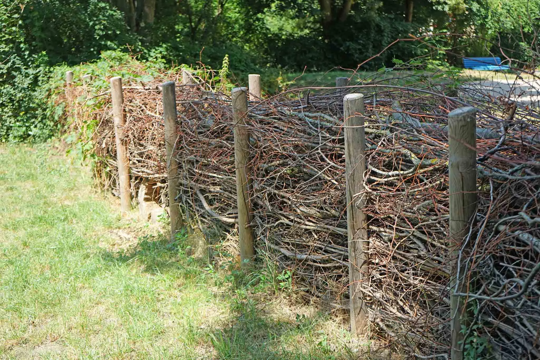 How To Plant A Hedgerow Step By Step