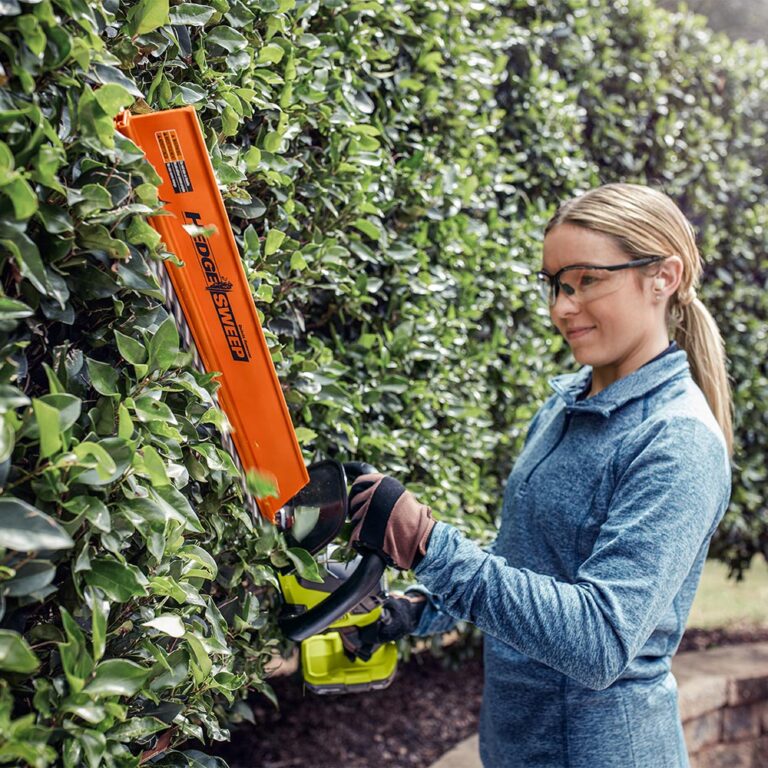 How To Trim A Hedge Properly