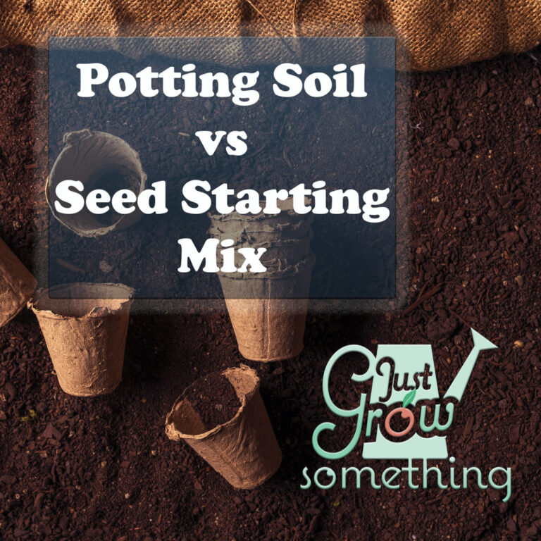 Seed Starting Mix Vs Potting Mix