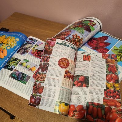 Heirloom Vs Hybrid Seeds