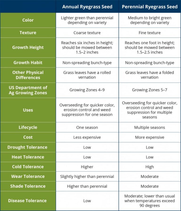 Annual Vs Perennial