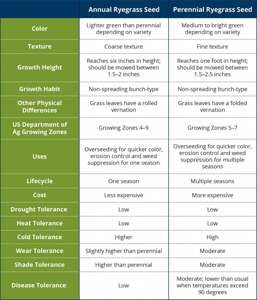 Annual Vs Perennial
