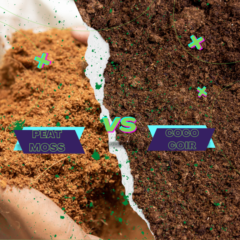 Peat Moss Vs Coco Coir
