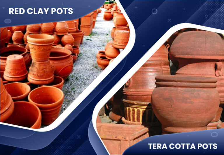 Clay Pots Vs Ceramic Pots