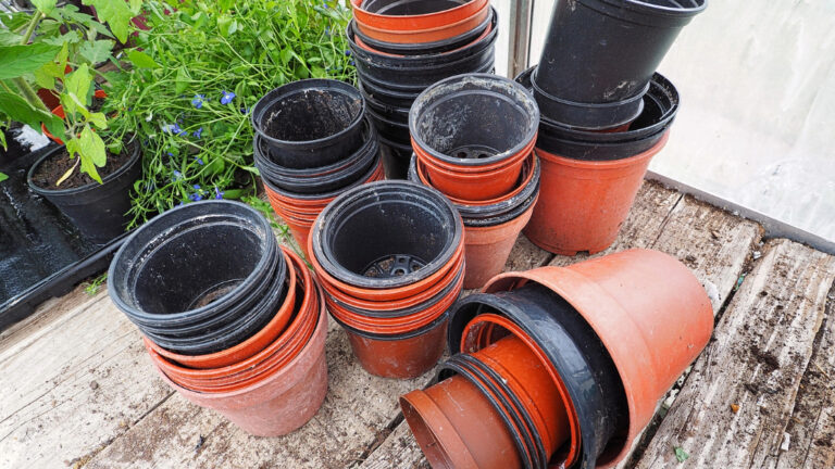Terracotta Pots Vs Plastic Pots
