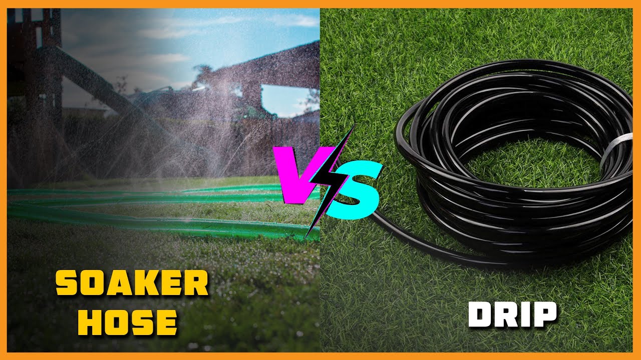 Soaker Hose Vs Drip Irrigation