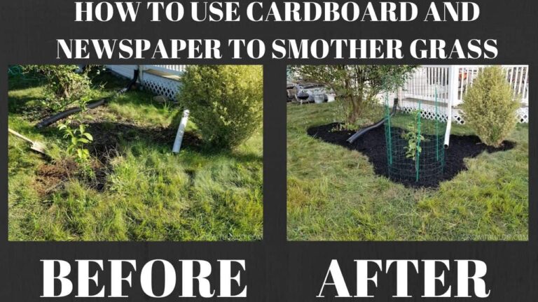 Landscape Fabric Vs Cardboard