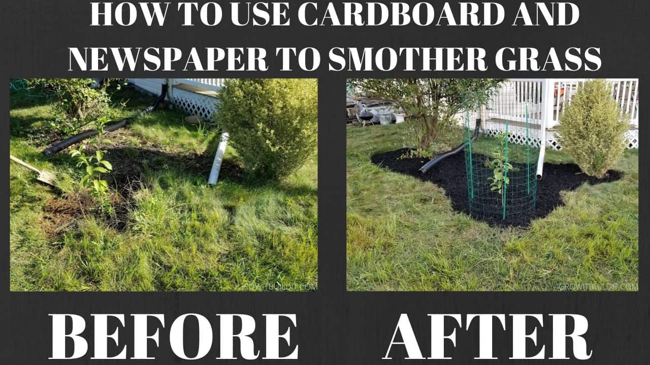 Landscape Fabric Vs Cardboard