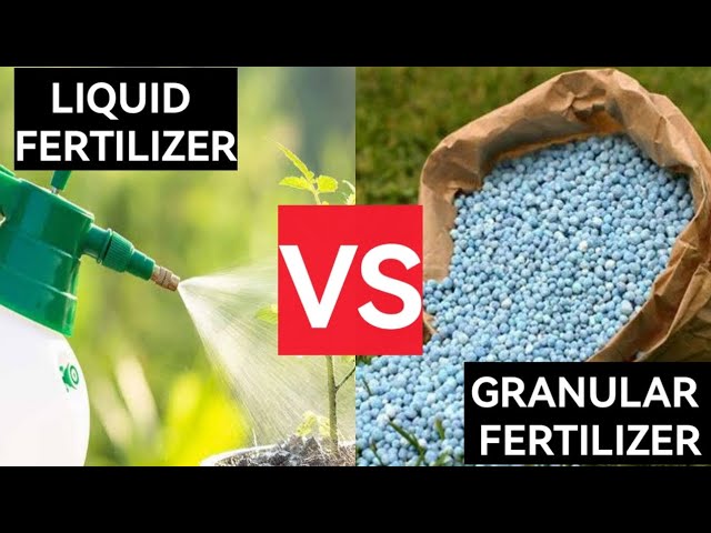 Liquid Fertilizer Vs Granular Fertilizer