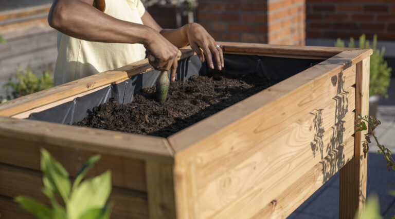 Raised Bed Vs In Ground Garden