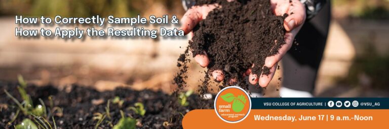 How To Use Compost Correctly