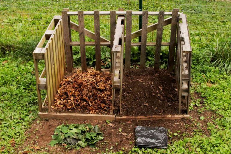 How To Make Leaf Mold