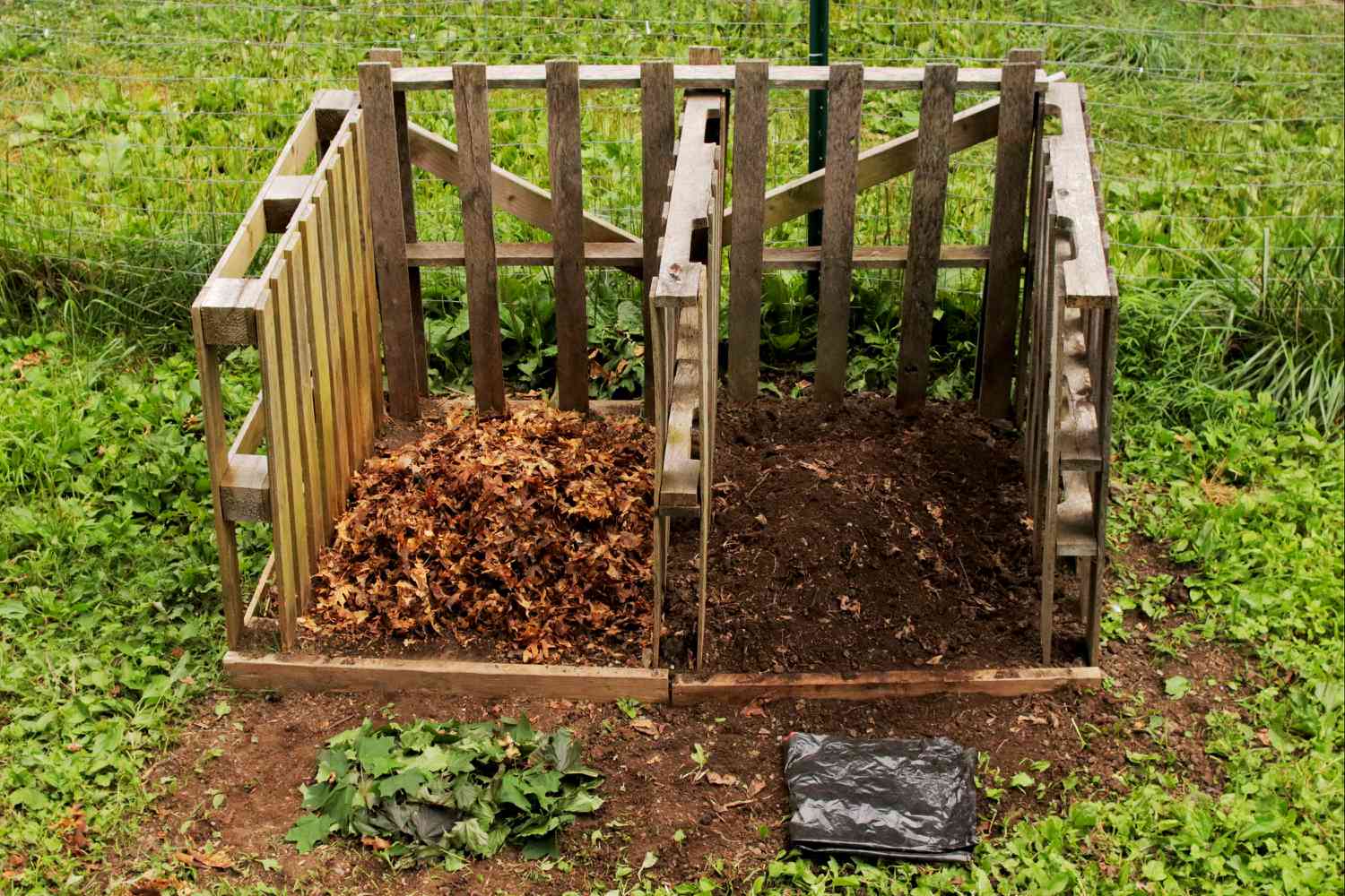 How To Make Leaf Mold