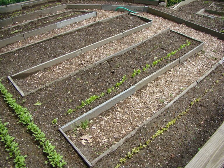How To Prepare Garden Soil