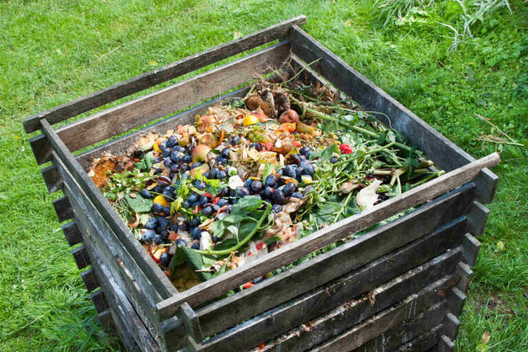 How To Start A Compost Pile