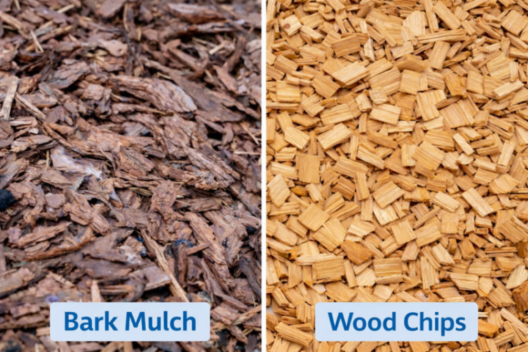 Mulching Vs Weeding