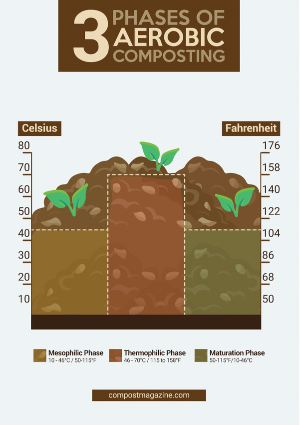 Cold Composting Vs Hot Composting