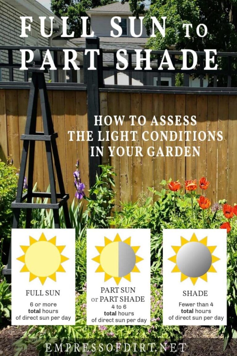 Full Sun Vs Partial Shade